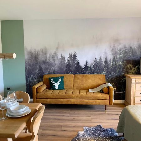 Lindners Hideaways - Bergnest Lodge - Bergblick Fewo 6 Pers Balkon Garten Hund Ski Unterkunft Luftkurort Oberreute Naehe Buchenegger Wasserfaelle Eistobel Bodensee Exteriér fotografie