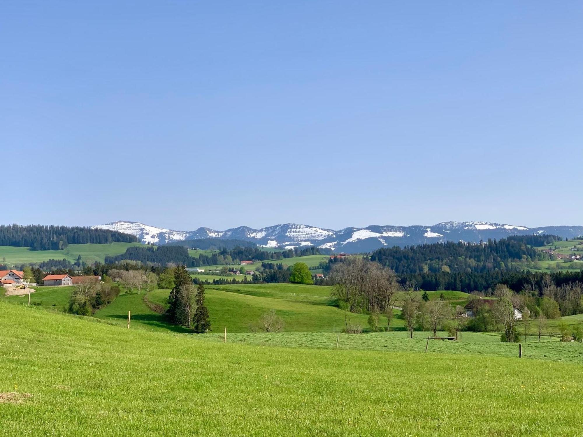 Lindners Hideaways - Bergnest Lodge - Bergblick Fewo 6 Pers Balkon Garten Hund Ski Unterkunft Luftkurort Oberreute Naehe Buchenegger Wasserfaelle Eistobel Bodensee Exteriér fotografie