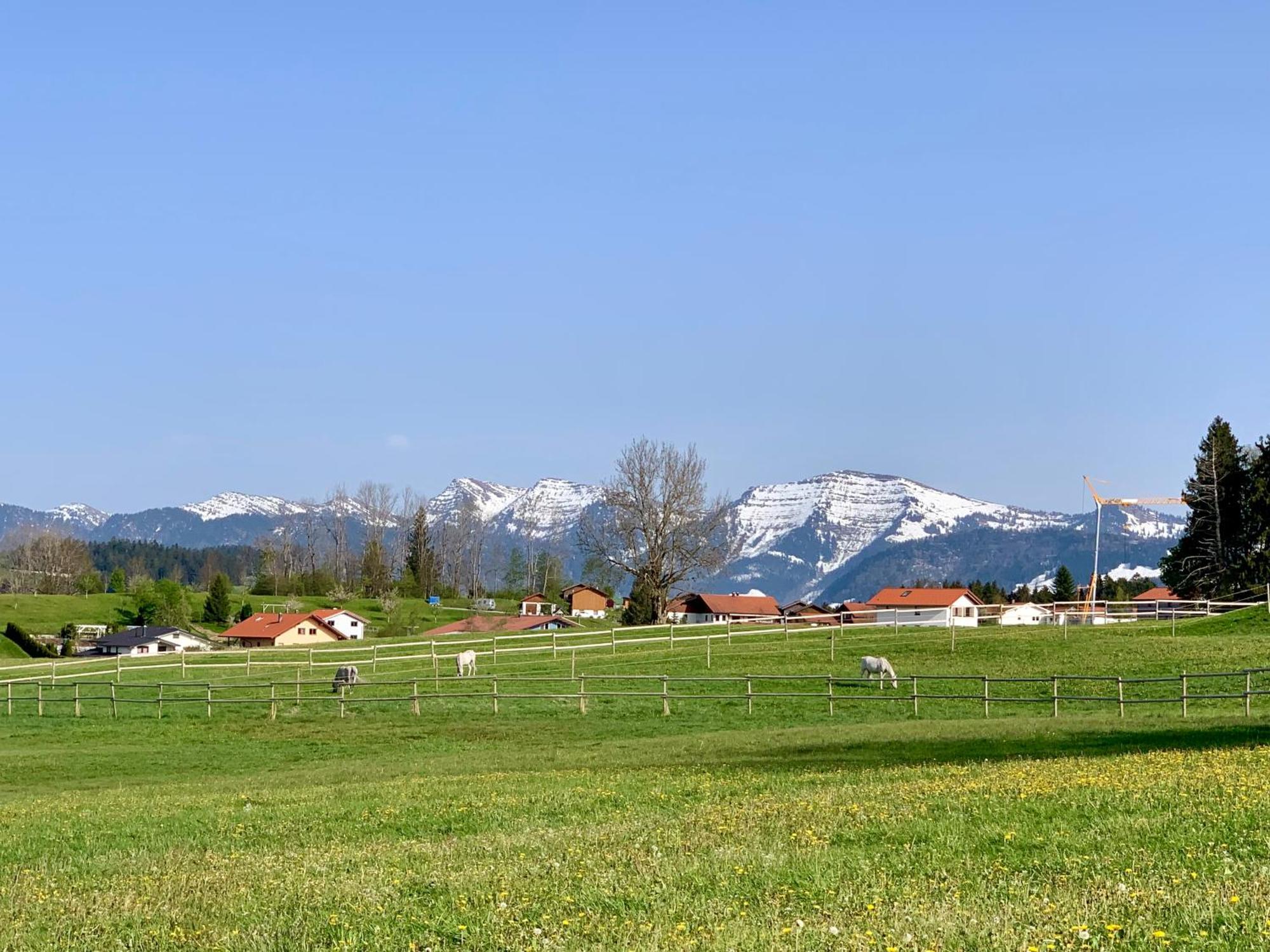 Lindners Hideaways - Bergnest Lodge - Bergblick Fewo 6 Pers Balkon Garten Hund Ski Unterkunft Luftkurort Oberreute Naehe Buchenegger Wasserfaelle Eistobel Bodensee Exteriér fotografie